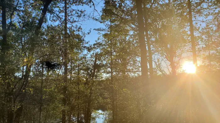 Horseshoe Lake Campground 1