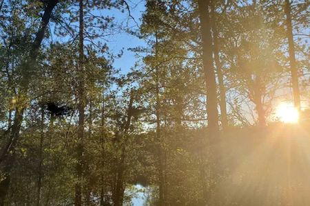 Horseshoe Lake Campground