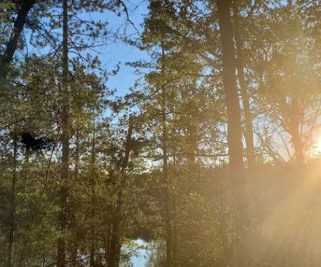 Horseshoe Lake Campground