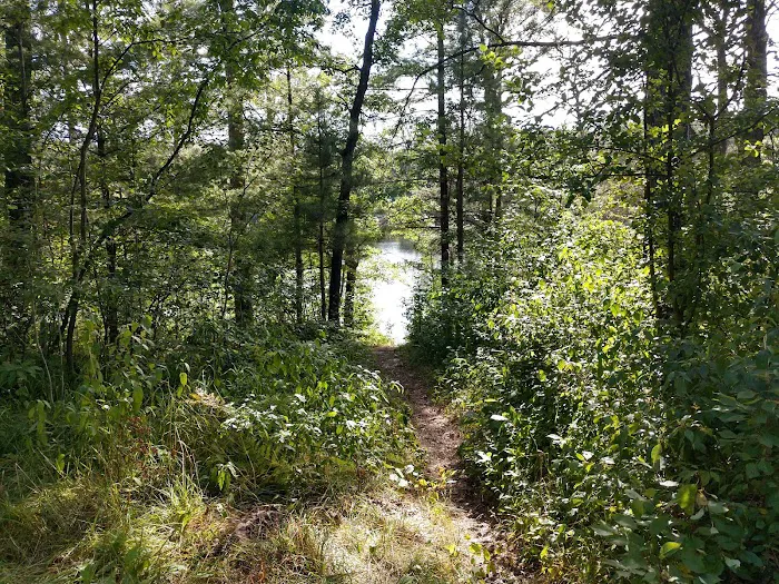 Horseshoe Lake Campground 7