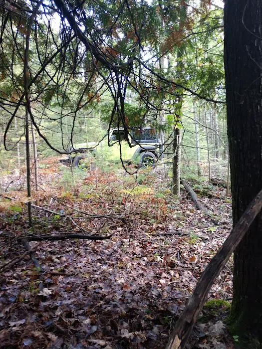 Au Sable River Camping Site 93D 7
