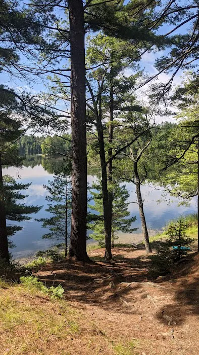 Au Sable River Camping Site 93D 3