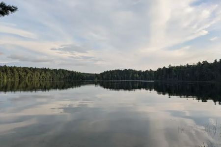 Au Sable River Camping Site 93D