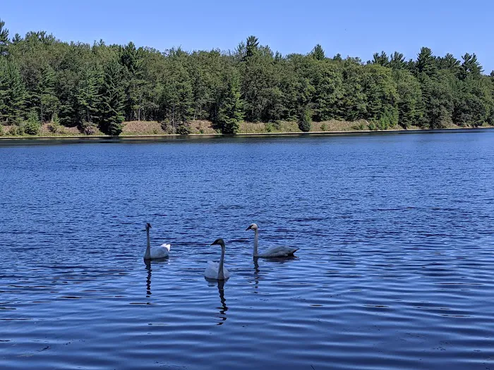 Ausable River Camping, MI Site 060W 8