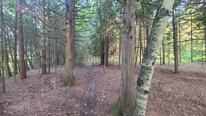 Ausable River Camping Site 77d 8