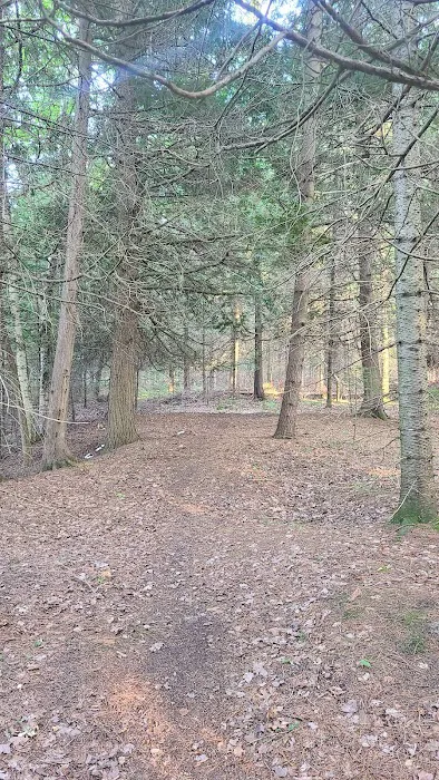 Ausable River Camping Site 77d 7