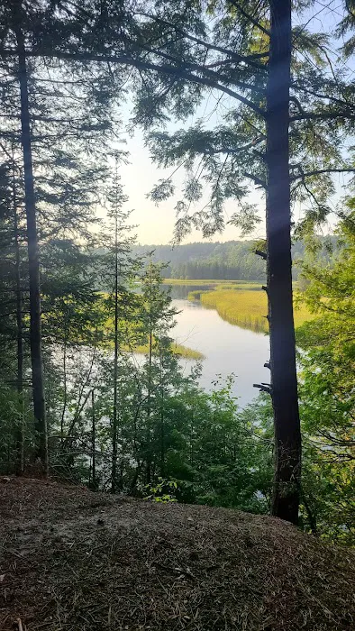 Ausable River Camping Site 77d 3