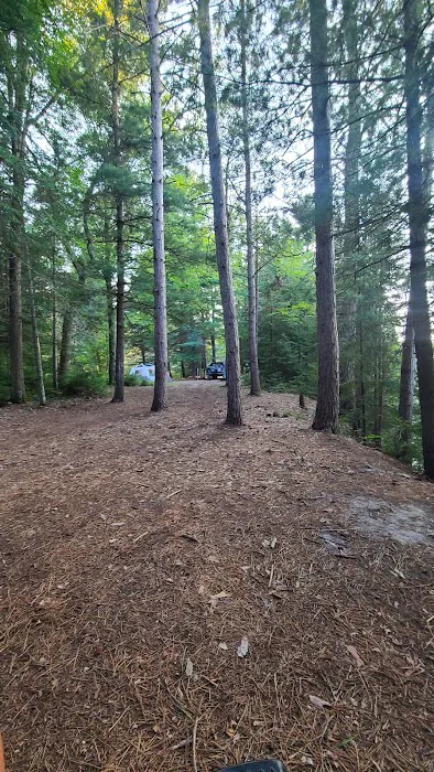 Ausable River Camping Site 77d 1