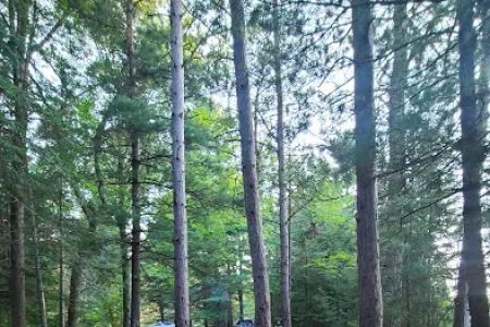 Ausable River Camping Site 77d