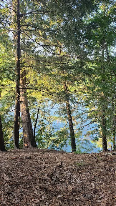 Ausable River Camping Site 77d 2