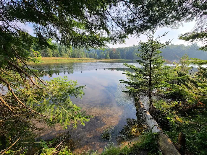 Ausable River Camping Site 76d 6