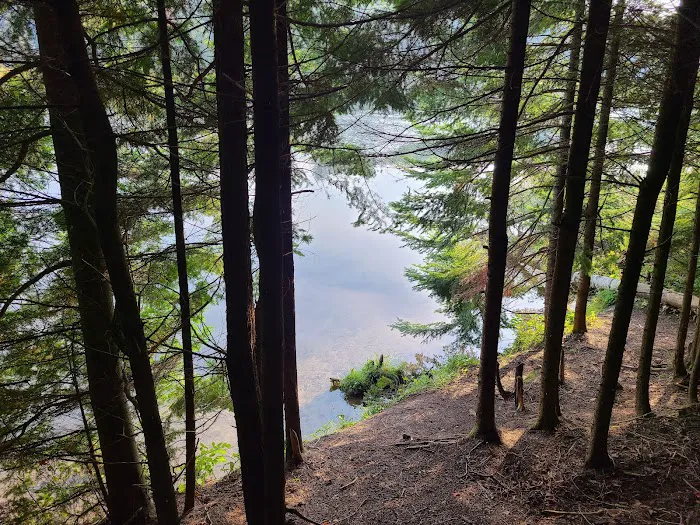 Ausable River Camping Site 76d 9