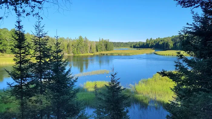 Ausable River Camping Site 76d 7