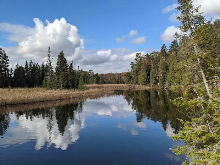 Ausable River Camping Site 82 6
