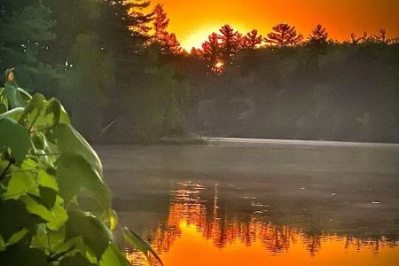 AuSable River Huron National Forest #68