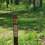 Site 073D Ausable River Camping