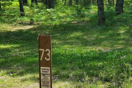 Site 073D Ausable River Camping
