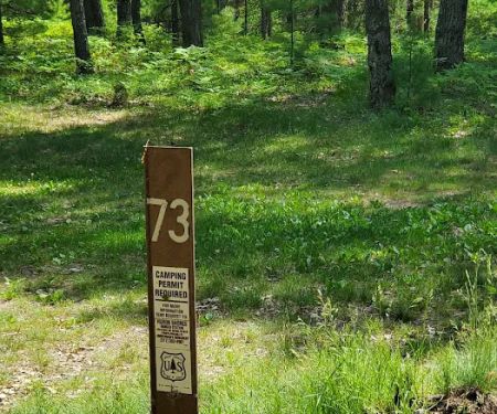 Site 073D Ausable River Camping
