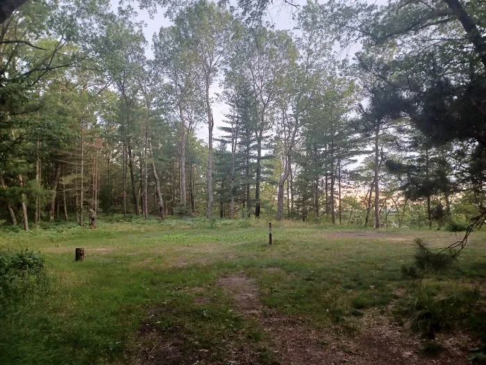 Site 073D Ausable River Camping 9