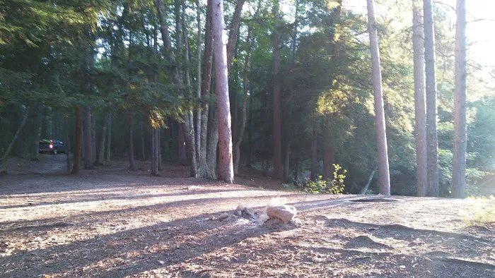 Ausable River Camping MI Site 069W 1