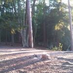 Ausable River Camping MI Site 069W