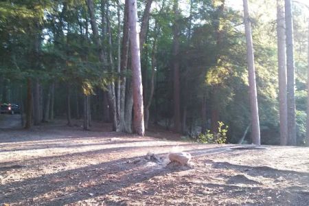 Ausable River Camping MI Site 069W