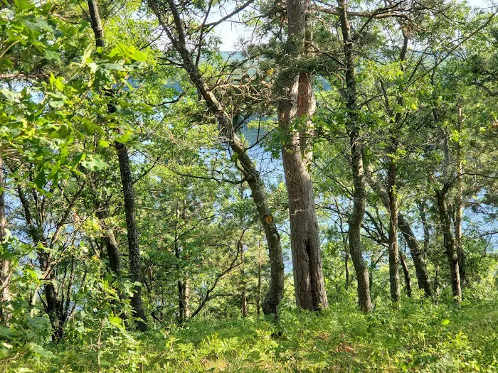 Ausable River Camping - Site 072D 10