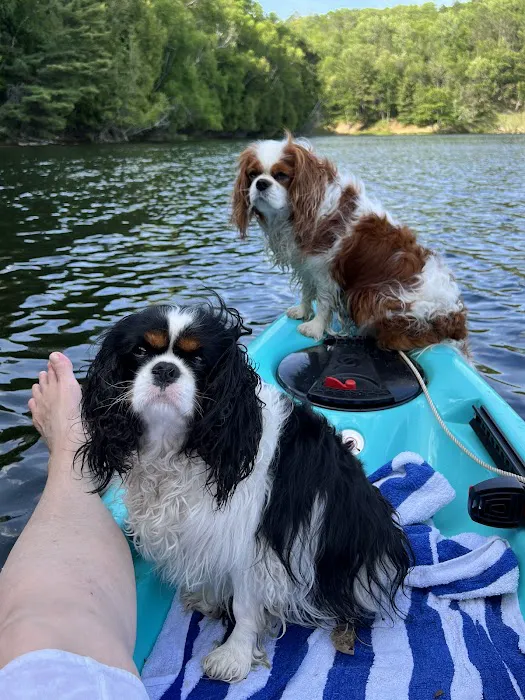 Ausable River Camping, site 070D 3