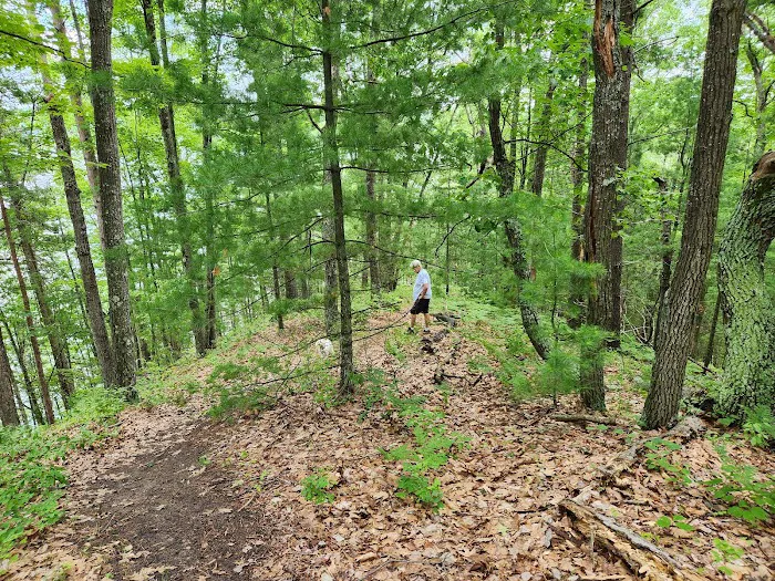 Ausable River Camping, site 070D 9