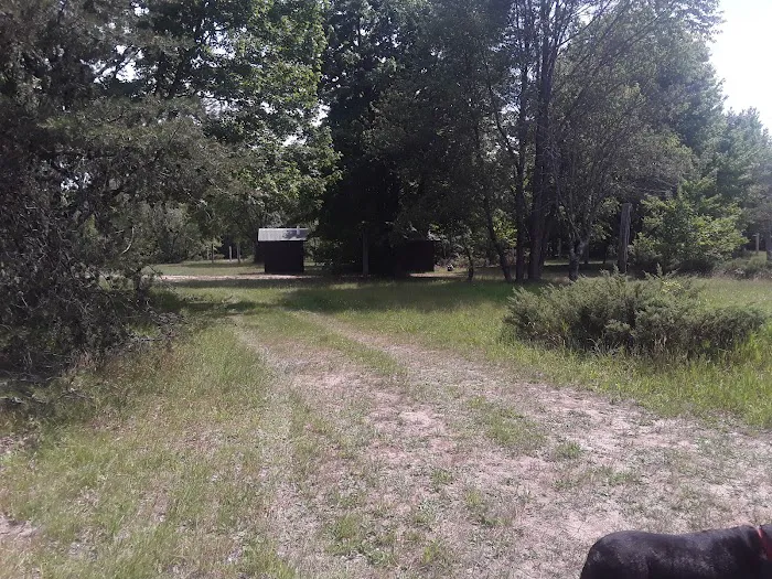 Garey Lake Trail Camp 9