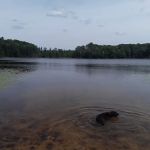 Garey Lake Trail Camp