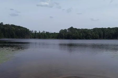 Garey Lake Trail Camp