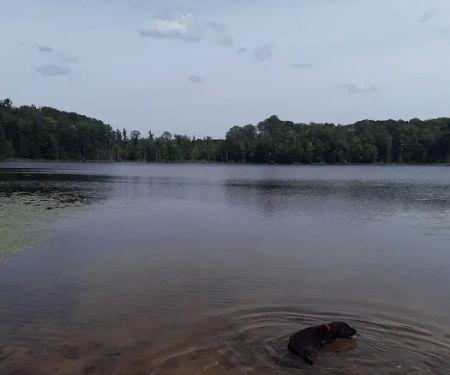 Garey Lake Trail Camp