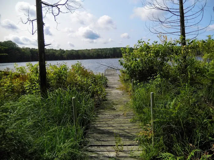 Garey Lake State Forest Campground 4