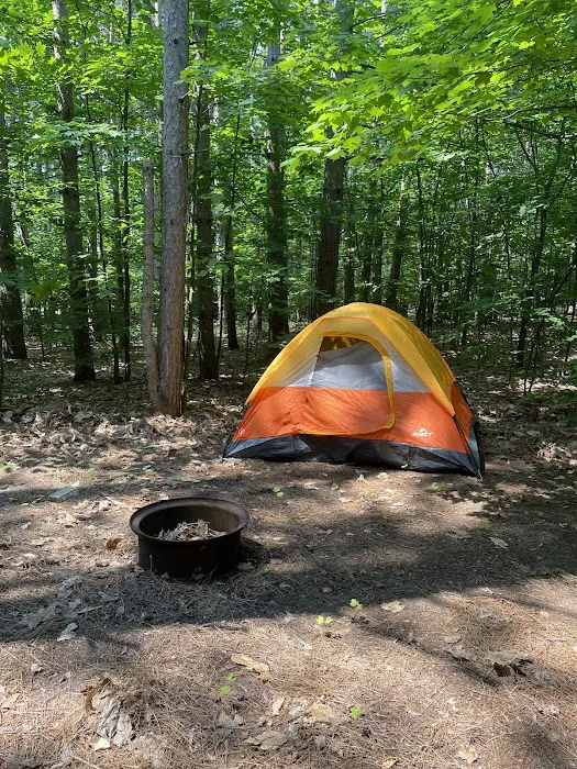 Empire Township Campground 6