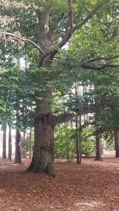 Empire Township Campground 5