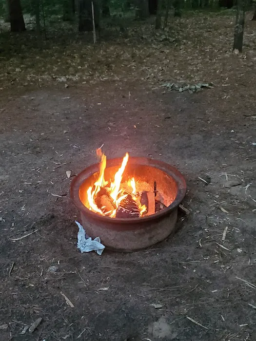 Empire Township Campground 9