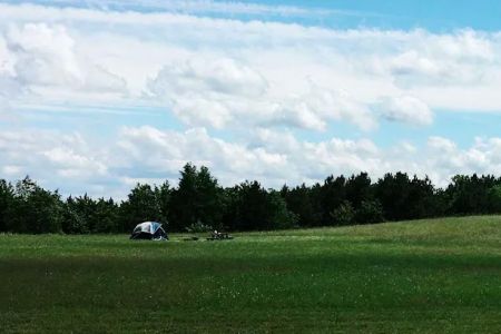 Lively Acres Campground