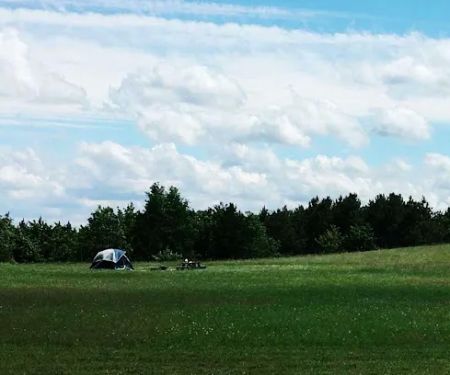 Lively Acres Campground