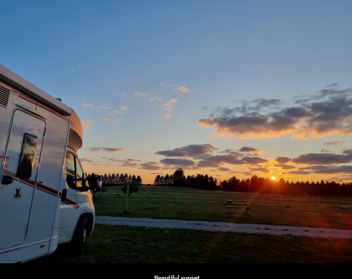 Lively Acres Campground 8