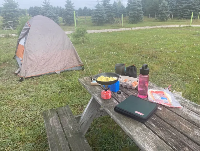 Lively Acres Campground 9