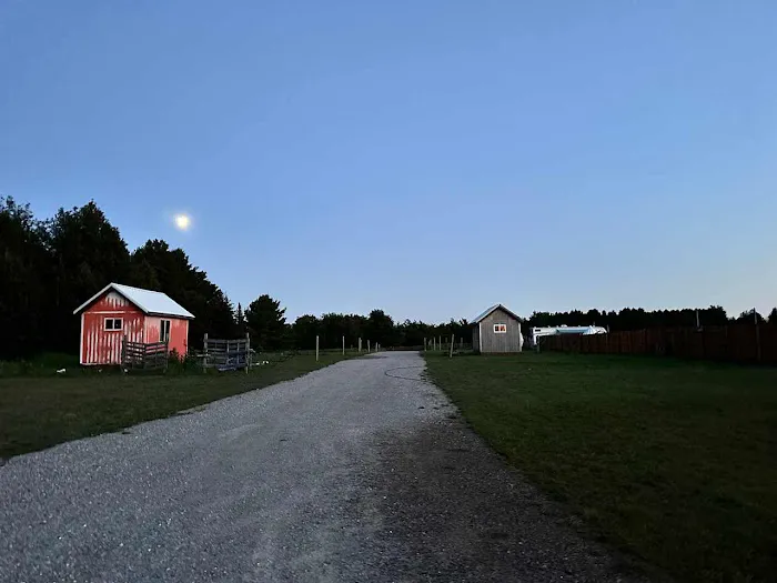 Lively Acres Campground 4