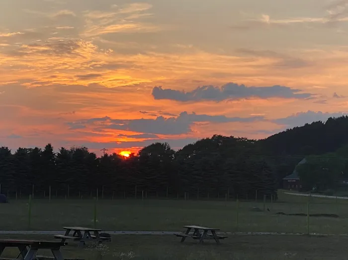 Lively Acres Campground 7