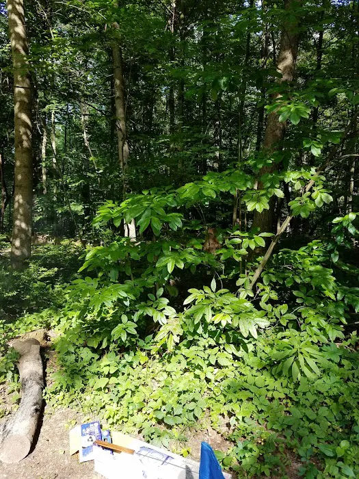 Hocking Hills Group Camping 3