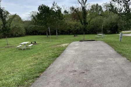 Campsite 197 (Electric Only)