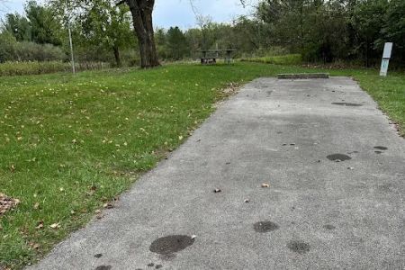 Campsite 223 (Electric Only)