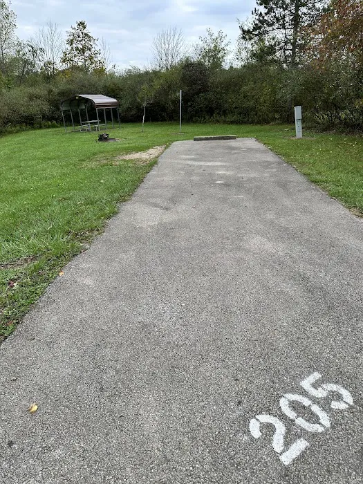 Campsite 205 (Electric Only) 1