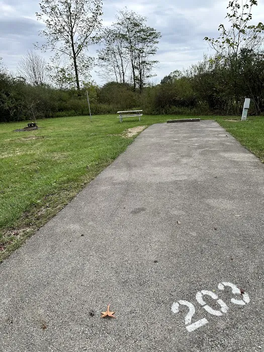 Campsite 203 (Electric Only) 1