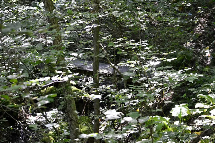 Leesville Lake South Fork Campground 2