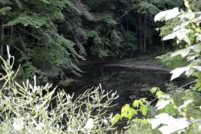 Leesville Lake South Fork Campground 4